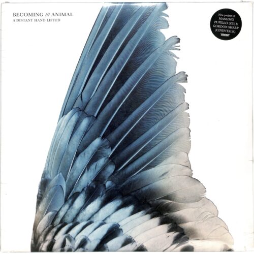 Becoming Animal . Massimo Pupillo, Gordon Sharp - A Distant Hand Lifted EU NEW